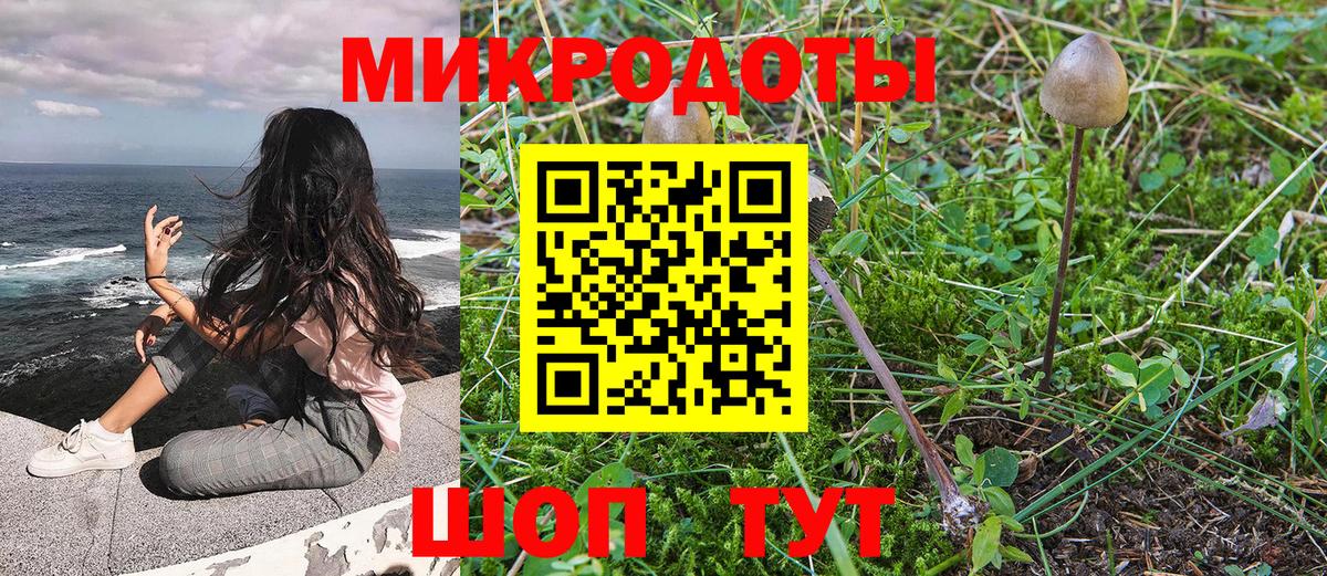 Галлюциногенные грибы прущие грибы Нижний Новгород