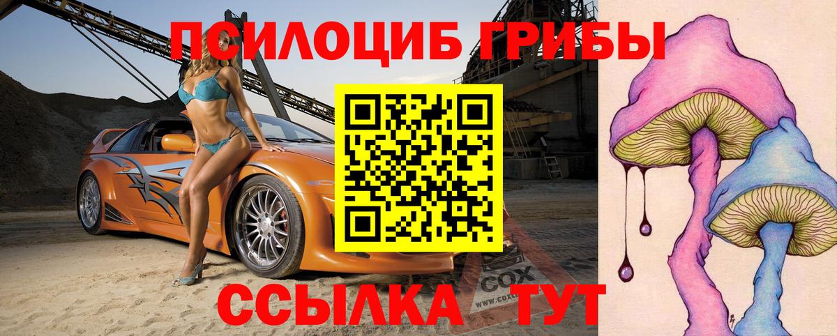 Нижний Новгород  как найти закладки  Вход с VPN  Псилоцибиновые грибы мухоморы 